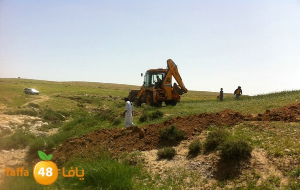 naqab lud 0329 (2).jpg